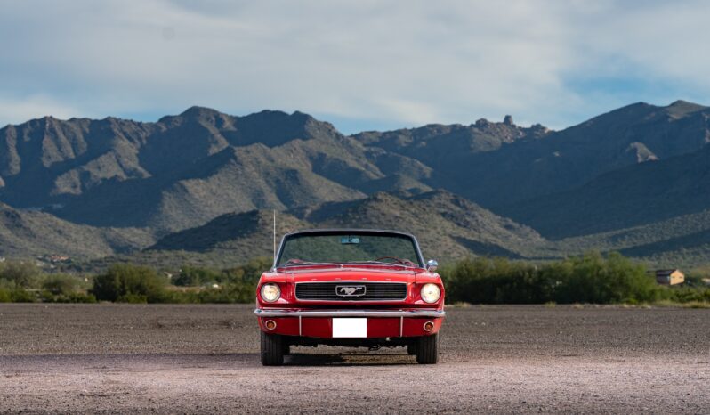 								1966 Ford Mustang Convertible 302-Powered full									