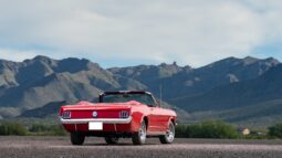 										1966 Ford Mustang Convertible 302-Powered full									