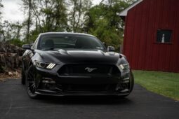 2015 Ford Mustang GT Performance Package