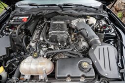 										2015 Ford Mustang GT Performance Package full									