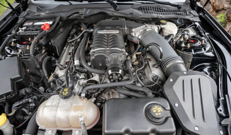 								2015 Ford Mustang GT Performance Package full									