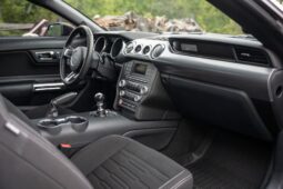 										2015 Ford Mustang GT Performance Package full									