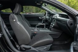 										2015 Ford Mustang GT Performance Package full									