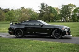 										2015 Ford Mustang GT Performance Package full									