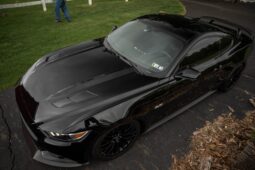 										2015 Ford Mustang GT Performance Package full									
