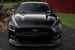 										2015 Ford Mustang GT Performance Package full									