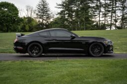 										2015 Ford Mustang GT Performance Package full									