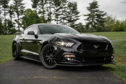 										2015 Ford Mustang GT Performance Package full									