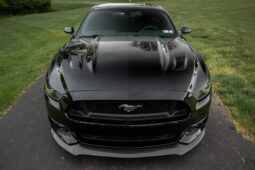 										2015 Ford Mustang GT Performance Package full									