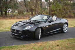 										2014 Jaguar F-Type V8 S Convertible full									