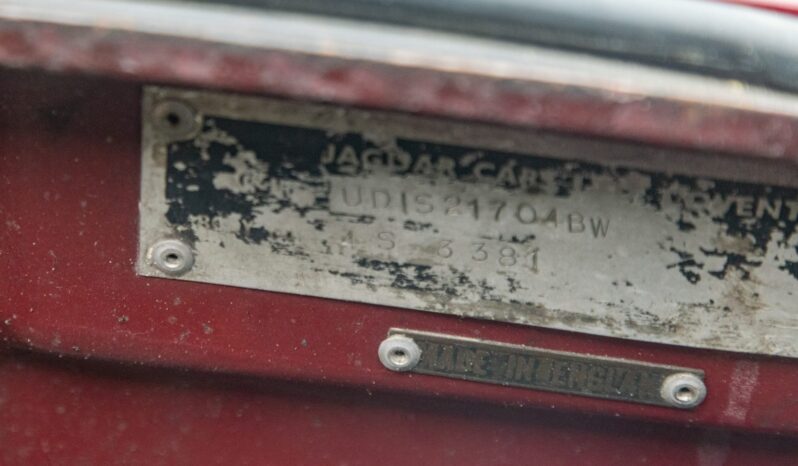 								1974 Jaguar E-Type Series III Roadster V12 full									