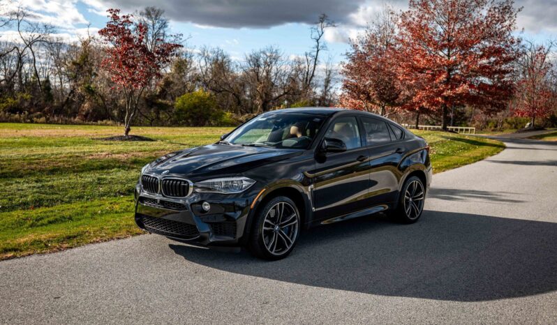 								2016 BMW X6 M full									