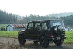 										1999 Mercedes-Benz G320 full									