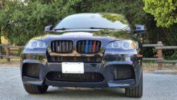 2011 BMW X6 M