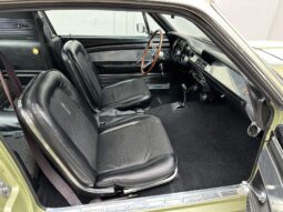 										1967 Shelby Mustang GT350 Fastback full									