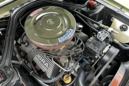 										1967 Shelby Mustang GT350 Fastback full									