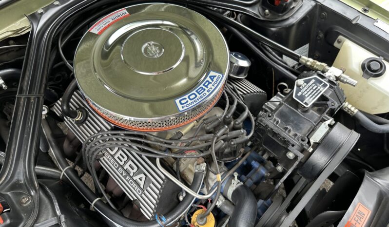 								1967 Shelby Mustang GT350 Fastback full									