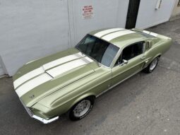										1967 Shelby Mustang GT350 Fastback full									