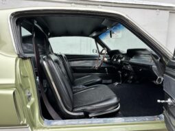 										1967 Shelby Mustang GT350 Fastback full									