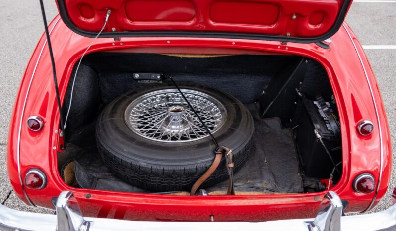 								1957 Austin-Healey 100-6 BN4 4-Seat Roadster full									