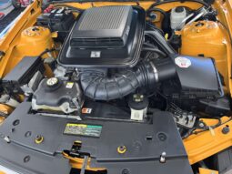 2007 Ford Mustang Saleen Parnelli Jones Edition full