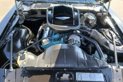 										1977 Pontiac Firebird Trans Am full									