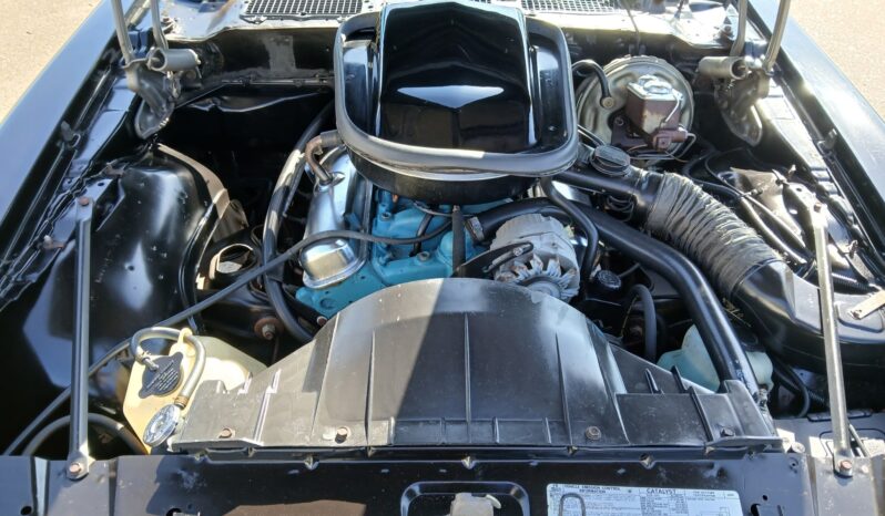 								1977 Pontiac Firebird Trans Am full									