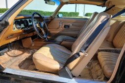 1977 Pontiac Firebird Trans Am