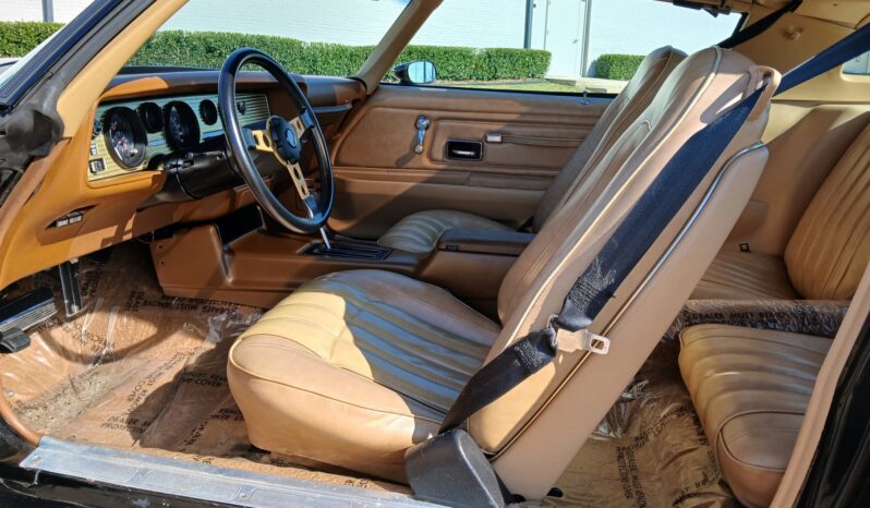 								1977 Pontiac Firebird Trans Am full									