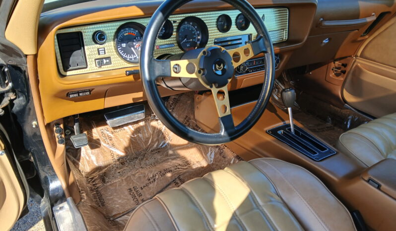 								1977 Pontiac Firebird Trans Am full									