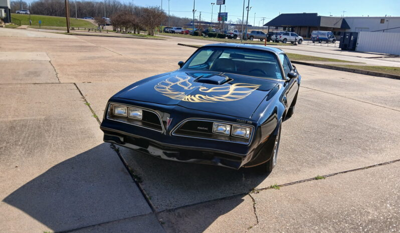 								1977 Pontiac Firebird Trans Am full									