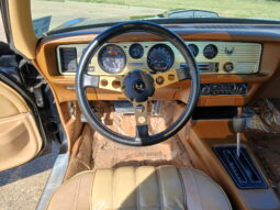 										1977 Pontiac Firebird Trans Am full									