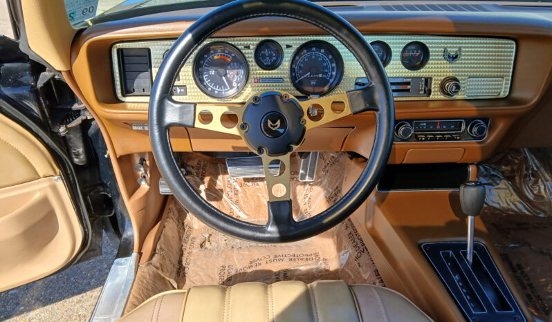 								1977 Pontiac Firebird Trans Am full									
