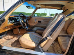 										1977 Pontiac Firebird Trans Am full									