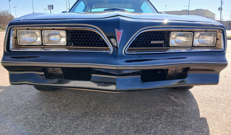 								1977 Pontiac Firebird Trans Am full									