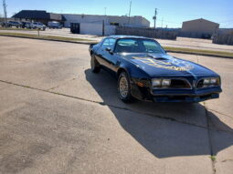 										1977 Pontiac Firebird Trans Am full									