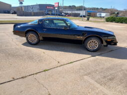 										1977 Pontiac Firebird Trans Am full									