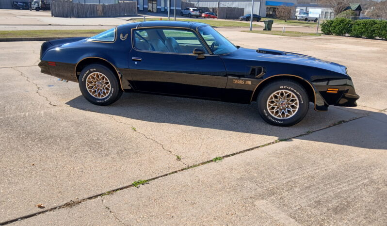 								1977 Pontiac Firebird Trans Am full									