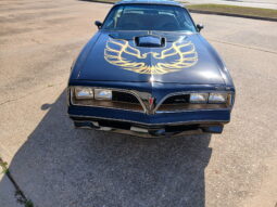 										1977 Pontiac Firebird Trans Am full									