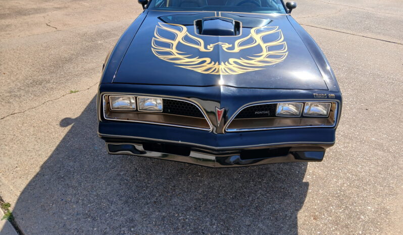 								1977 Pontiac Firebird Trans Am full									