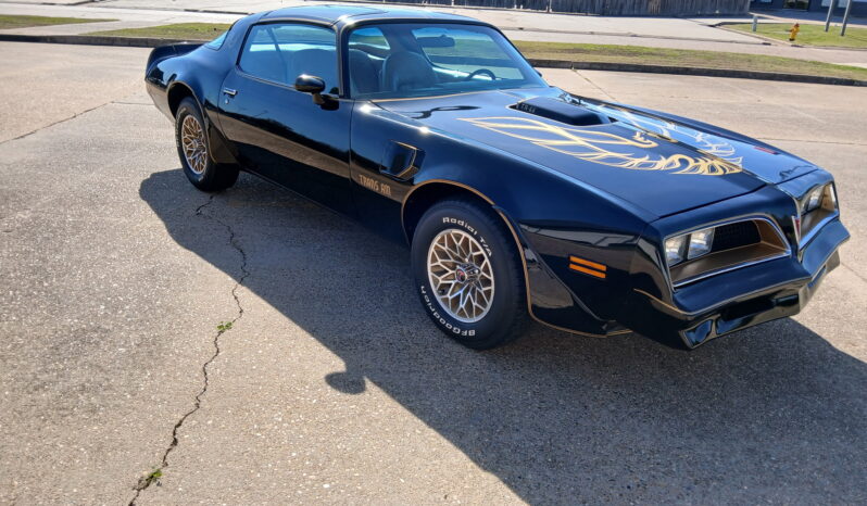 								1977 Pontiac Firebird Trans Am full									