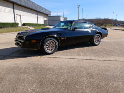 										1977 Pontiac Firebird Trans Am full									