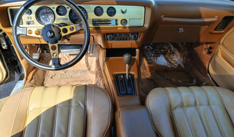 								1977 Pontiac Firebird Trans Am full									