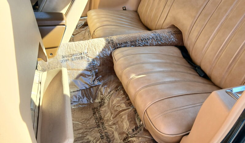 								1977 Pontiac Firebird Trans Am full									