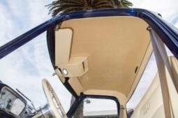 										1953 Ford F-100 full									