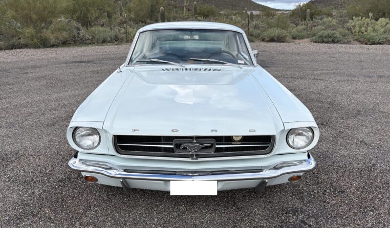 								1965 Ford Mustang Fastback full									