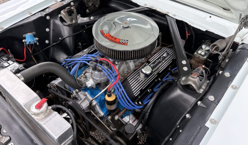 								1965 Ford Mustang Fastback full									