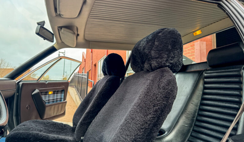 								1975 Ferrari Dino 308 GT4 full									