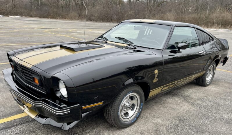 								1976 Ford Mustang Cobra II full									