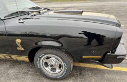 1976 Ford Mustang Cobra II